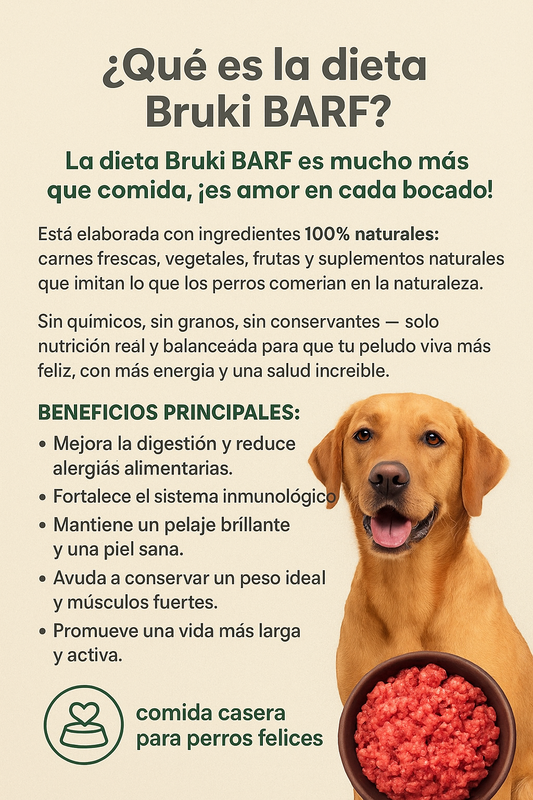 ¿Que es el dieta Barf?