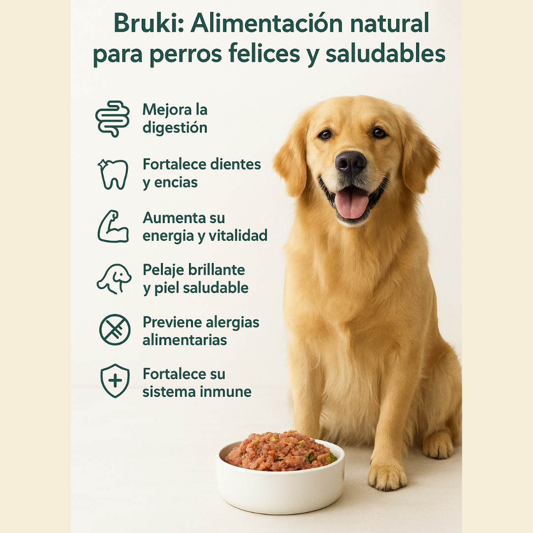 Porque Alimento Barf