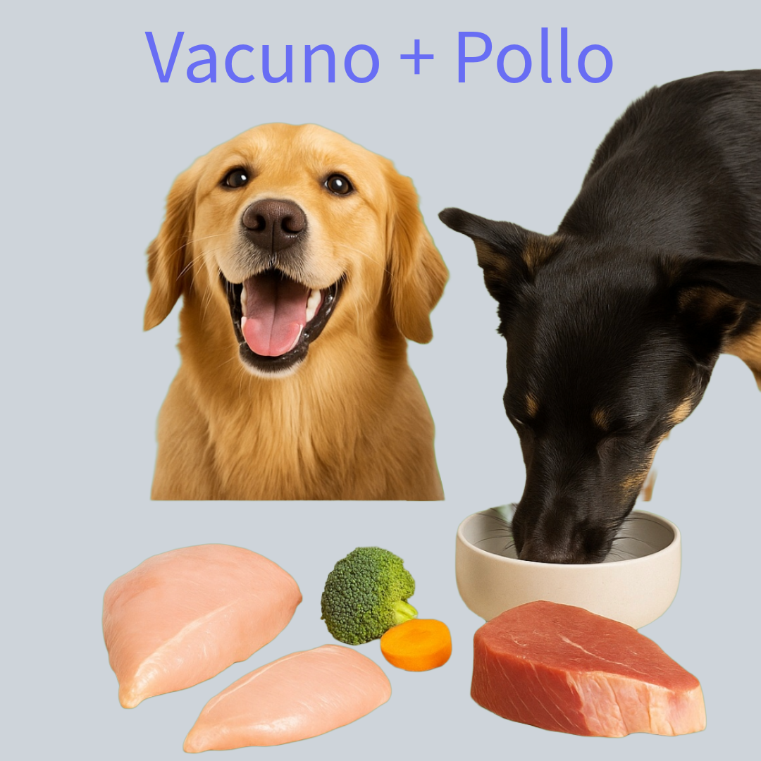 Vacuno + Pollo